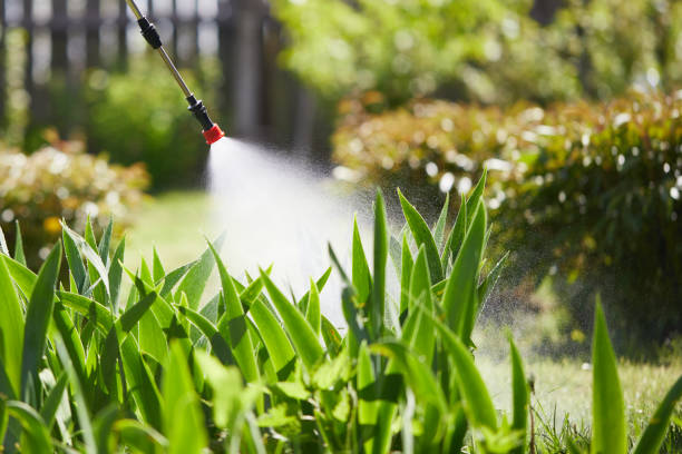 24/7 Emergency Ant Control experts in Natchez, MS