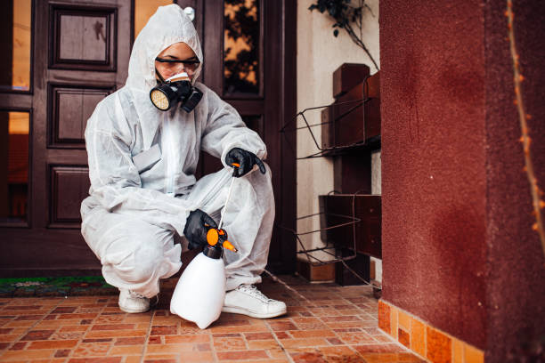 Reliable Ant Control contractor in Natchez, MS by Nex Pest Control